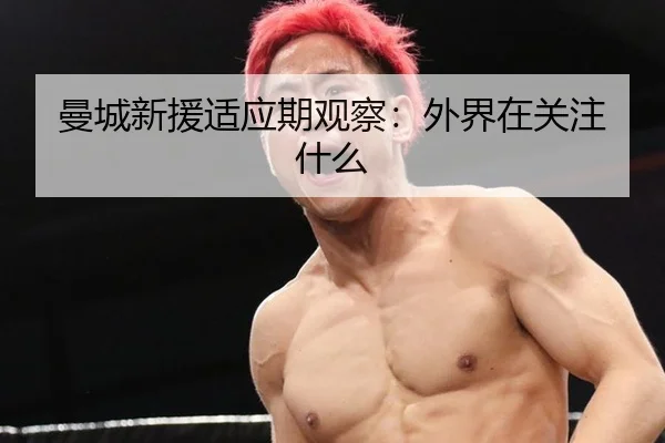 曼城新援适应期观察：外界在关注什么