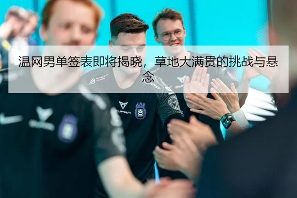 温网男单签表即将揭晓，草地大满贯的挑战与悬念